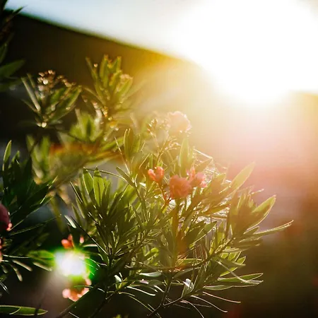 Rittergut Positz Oppurg