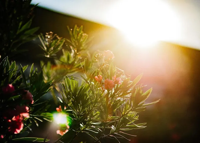 Rittergut Positz Oppurg