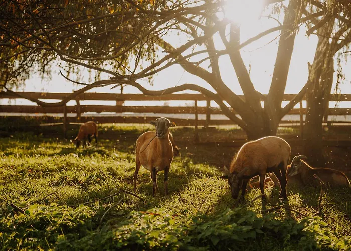 招待所 Rittergut Positz 3*