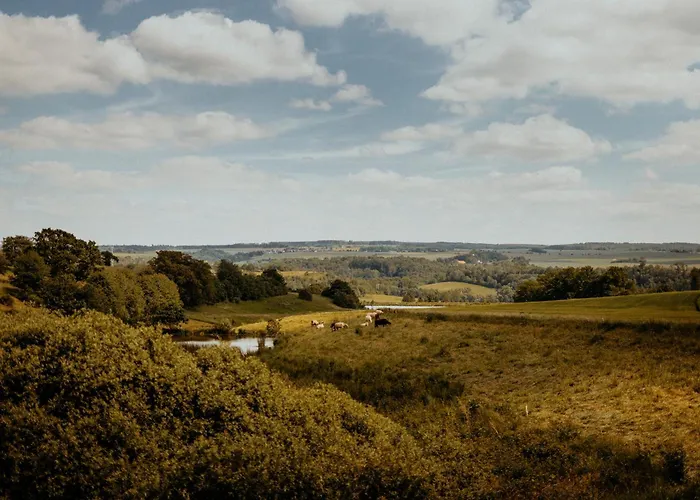 Rittergut Positz 招待所