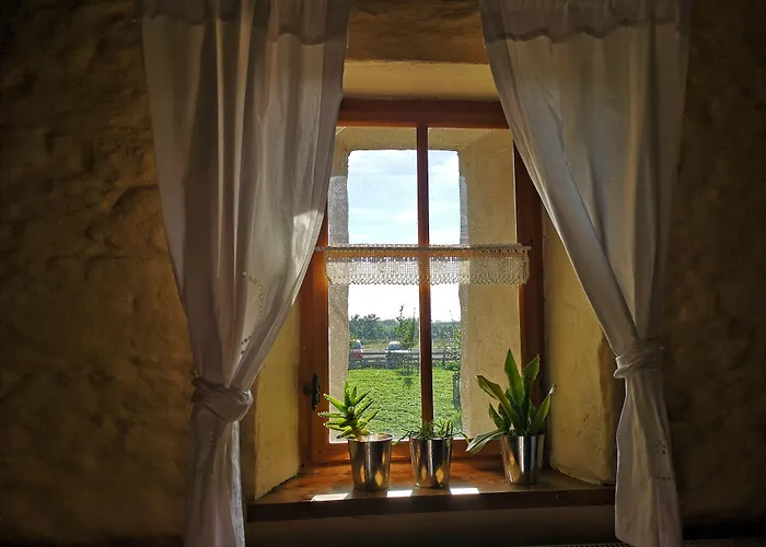 Rittergut Positz 招待所