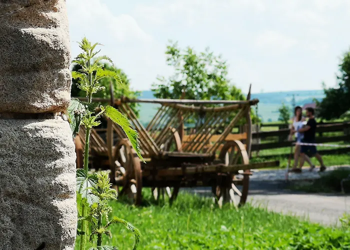 招待所 Rittergut Positz 3*